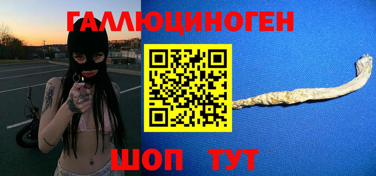 Сокол  Галлюциногенные грибы Magic Shrooms  Псилоцибиновые грибы мухоморы  Вход с VPN 