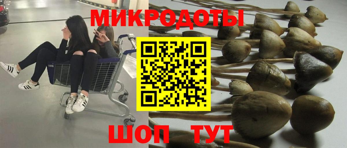 Псилоцибиновые грибы MAGIC MUSHROOMS Сокол